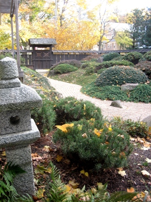 Meditation at the Buddhist Faith Fellowship in CT